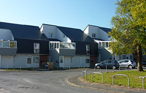 LE FIGUIER - HAUTMONT 59330